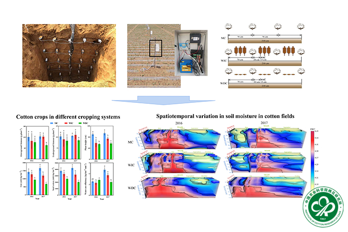 不同棉花种植模式的试验设计及对棉花作物和土壤水分变化的影响-小.jpg