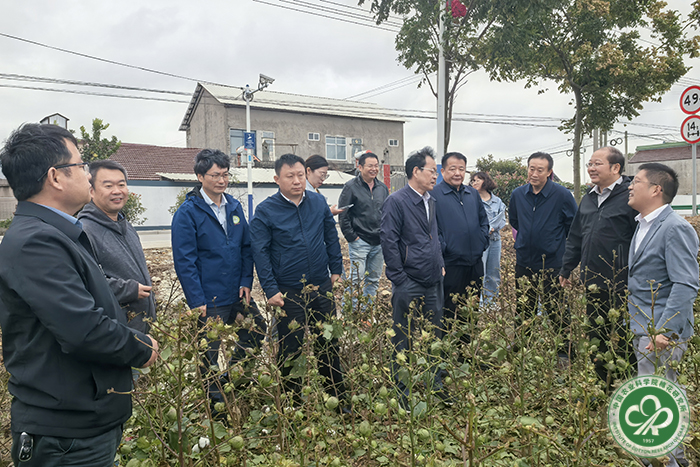 参观考察基地xiu.jpg