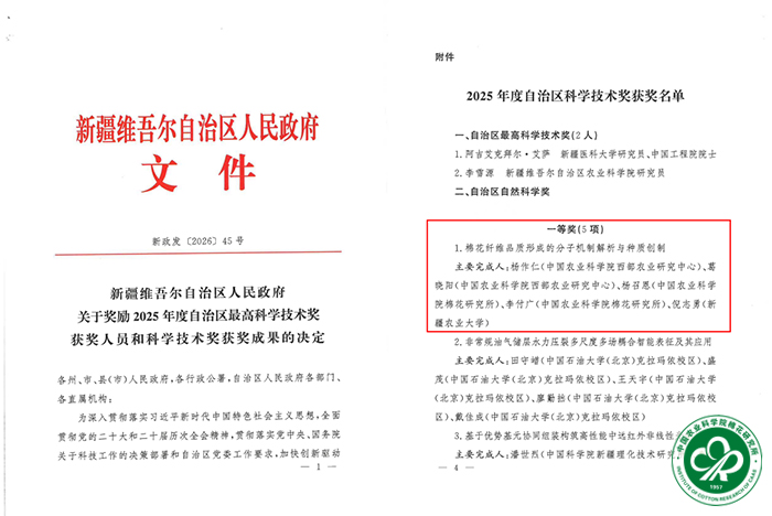 图片1xiu.jpg