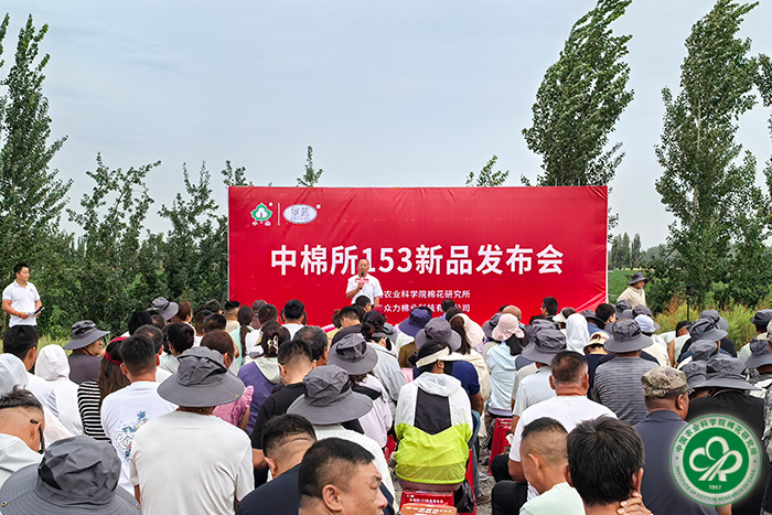 发布会现场xiu.jpg