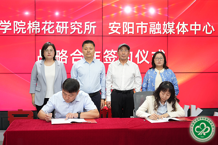 签约现场xiu.jpg