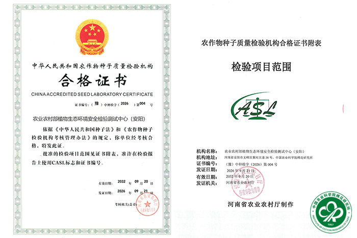 合并xiu.jpg